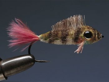 What is Fly Tying?